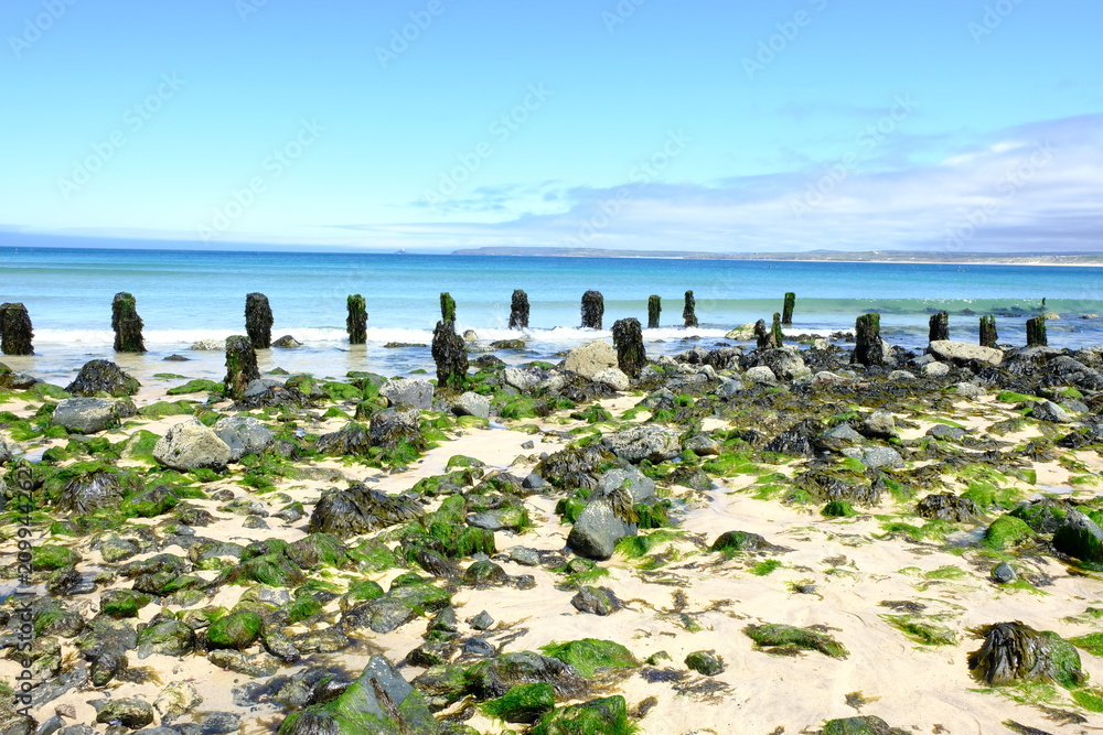 stony beach stony beach
