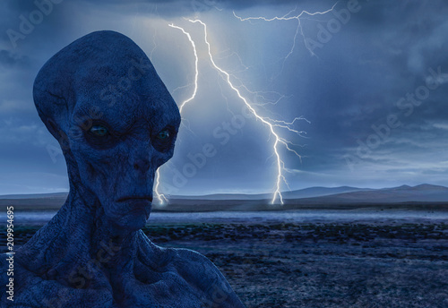 Vászonkép grey alien the dark side of an alien