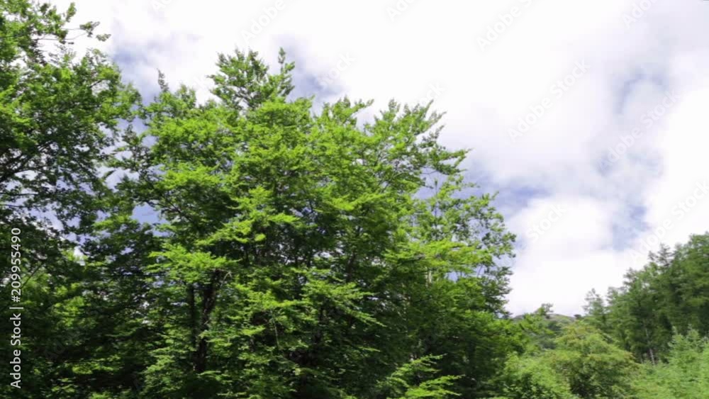 Beautiful forest mountains under blue sky in Biscay, Basque Country, Spain. On a sunny spring morning. Beautiful forest mountains under blue sky in Biscay, Basque Country, Spain. On a sunny spring morning.