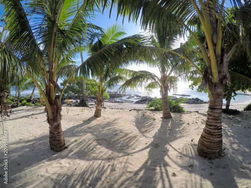 Pretty beach with palm trees at Lefaga, Matautu on Upolu Island, Samoa, South Pacific photo