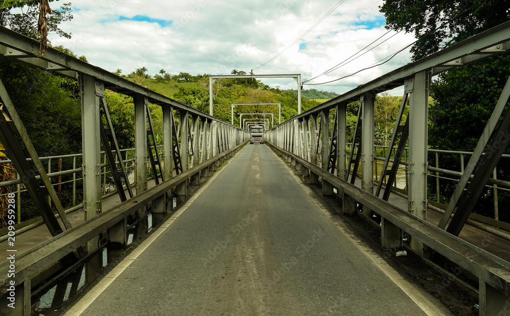 Fototapeta premium The bridge