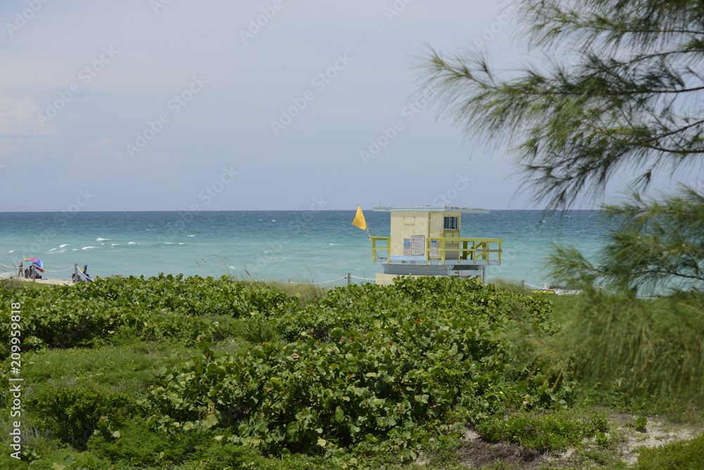 Fototapeta premium Coastguard hut on Miami beach with bushes and some pine tree with deep ocean behind