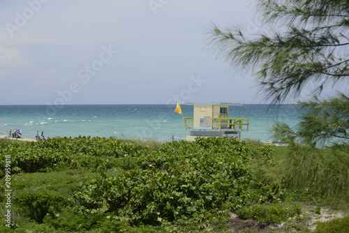 Coastguard hut on Miami beach with bushes and some pine tree with deep ocean behind