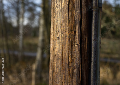 telephone pole