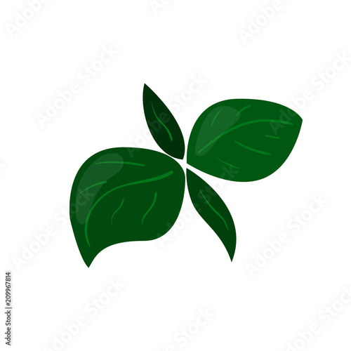 Herb green leaves vector icon. Healthy eating cartoon illustration isolated on white background.