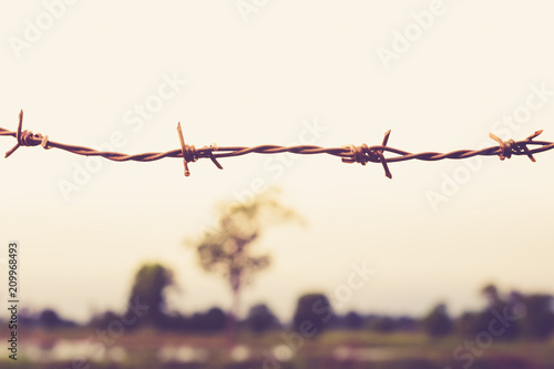 Abstract barbed wire with the sky background