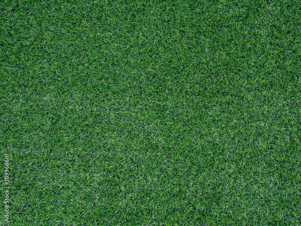 Obraz premium Artificial Grass