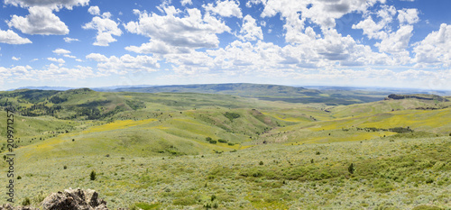 Mules Ears and Lupine Coloring the Hillsides of Southwestern Idaho and Southeastern Oregon