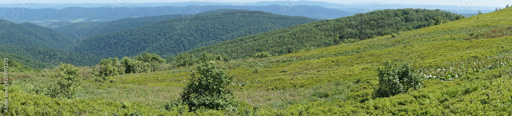 Obraz premium Bieszczady mountains, Poloniny mountains - panorama