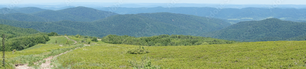 Obraz premium Bieszczady mountains, Poloniny mountains - panorama
