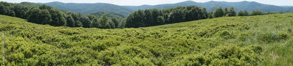 Fototapeta premium Bieszczady mountains - panorama/ panoramic photograph