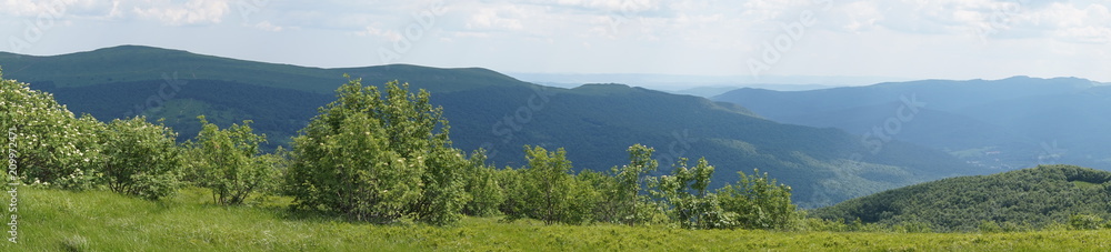 Obraz premium Bieszczady mountains - panorama/ panoramic photograph