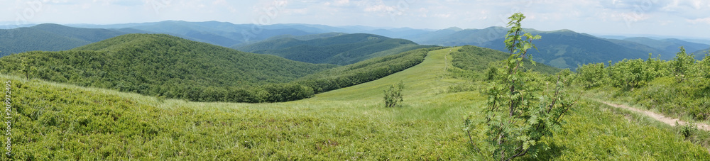 Obraz premium Bieszczady mountains, Poloniny mountains - panorama