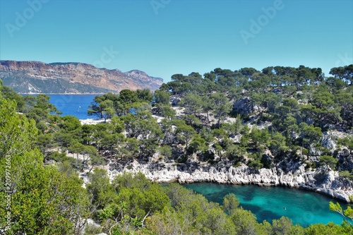 Cassis