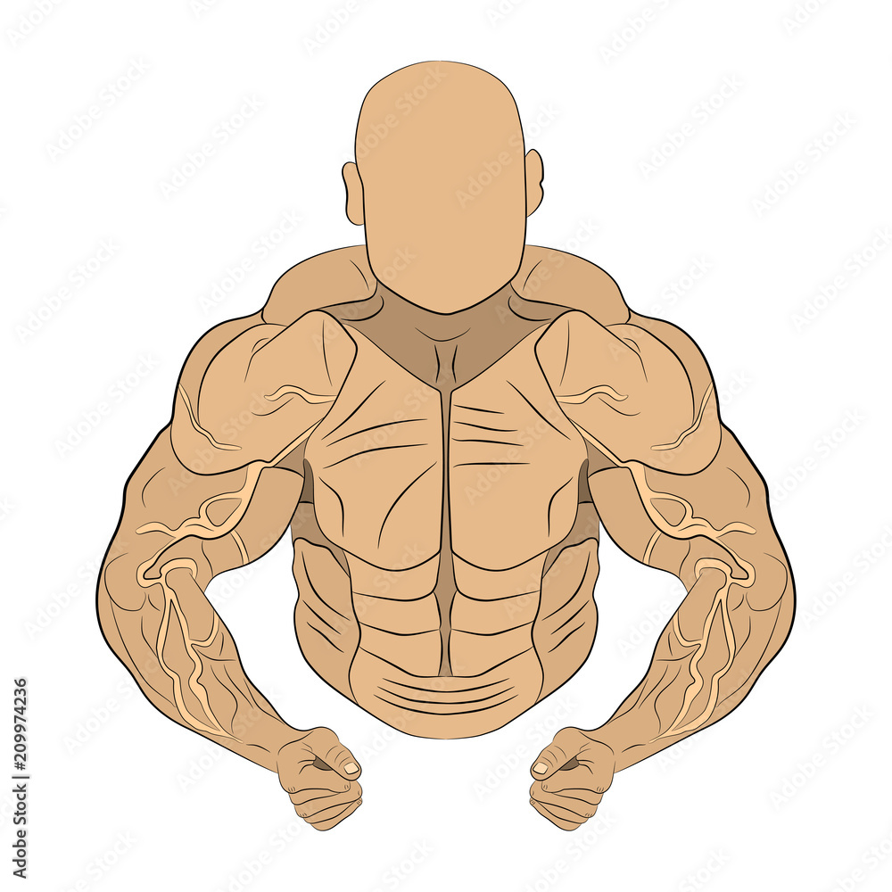 Details more than 67 muscular body sketch latest