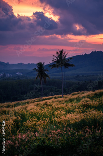 Summer sunset in Thailand