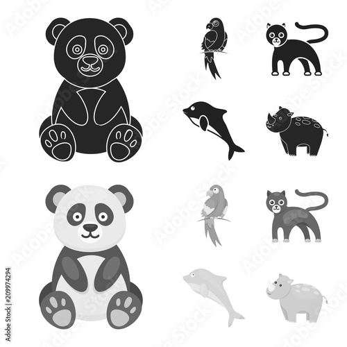 Panda.popugay, panther, dolphin.Animal set collection icons in black,monochrome style vector symbol stock illustration web. photo