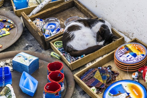 Fototapeta Naklejka Na Ścianę i Meble -  The cat and the goods in a street shop