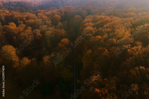 Aerial view over road going through autumn forest with red leaves trees and morning haze and light