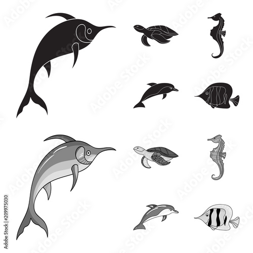 Merlin, turtle and other species.Sea animals set collection icons in black,monochrome style vector symbol stock illustration web.