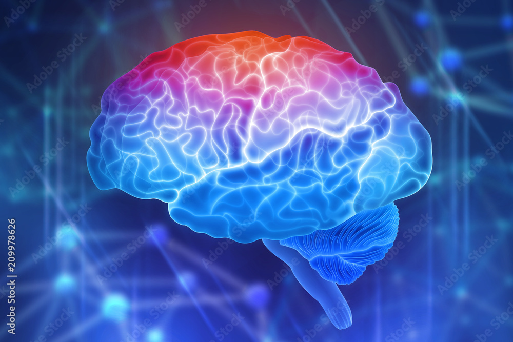 Human brain on a blue background. Active parts of the brain. Creating a computer mind. 3D illustration of the application of innovation in science Human brain on a blue background. Active parts of the brain. Creating a computer mind. 3D illustration of the application of innovation in science