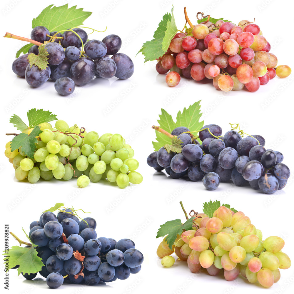 Grapes on a white background Grapes on a white background