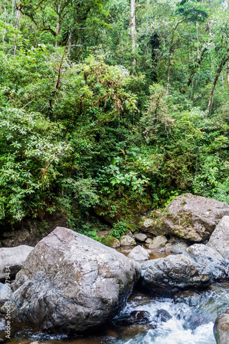 Rapids of Rio Hornito river and a jungle in Panama photo