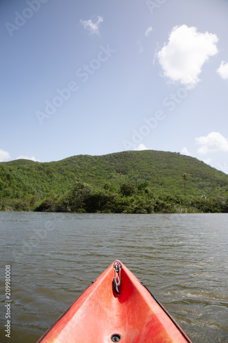 barque mangrove