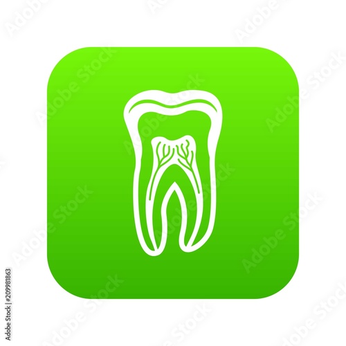 Tooth structure icon. Simple illustration of tooth structure vector icon for web
