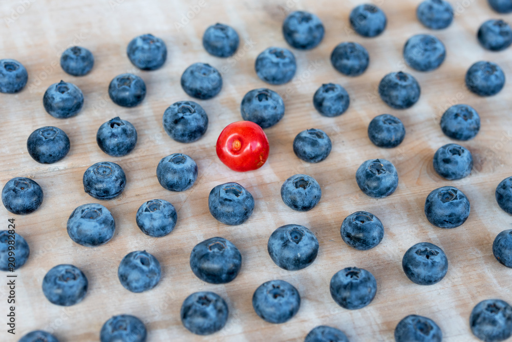 eine rote Kirsche inmitten von Blaubeeren, verteilt auf einem Holz Hintergrund eine rote Kirsche inmitten von Blaubeeren, verteilt auf einem Holz Hintergrund