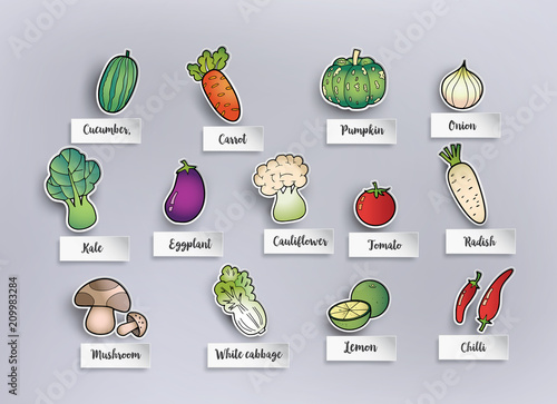 freehand drawing vegetables.