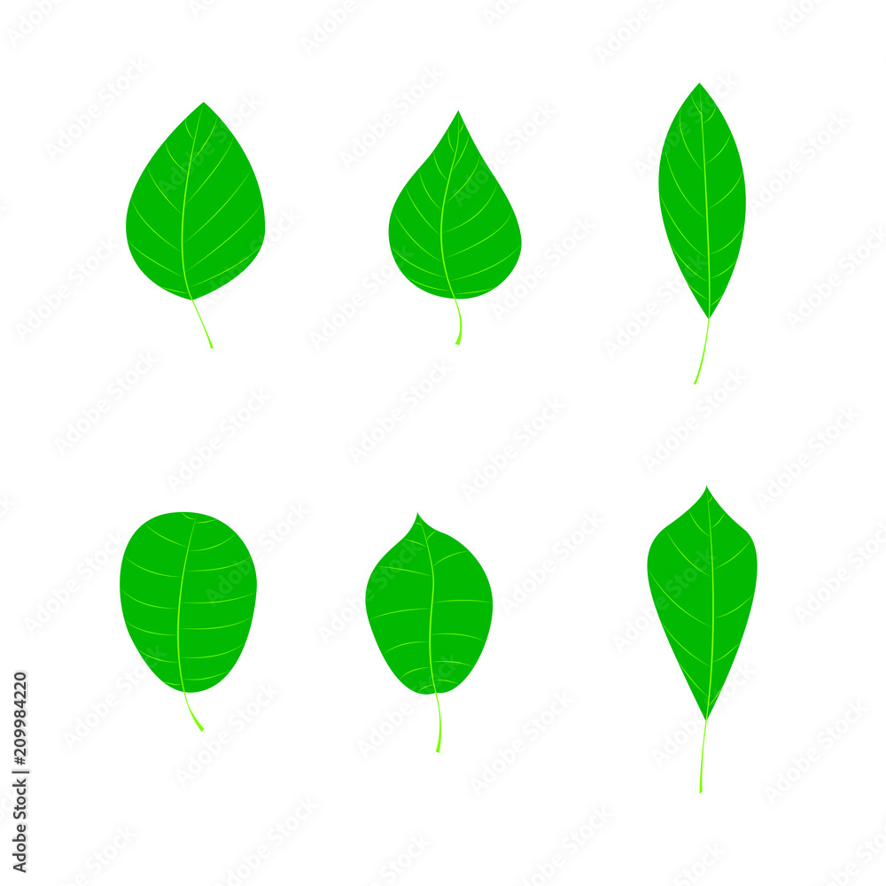 Simple leaf set