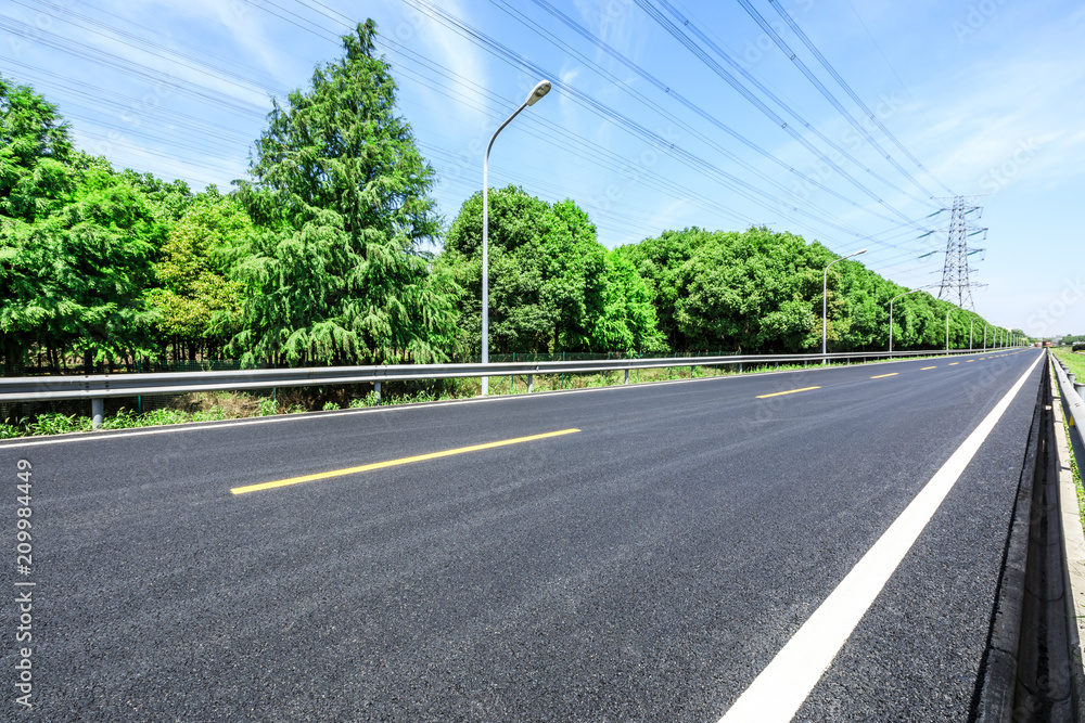 Asphalt road and green forest on a sunny day