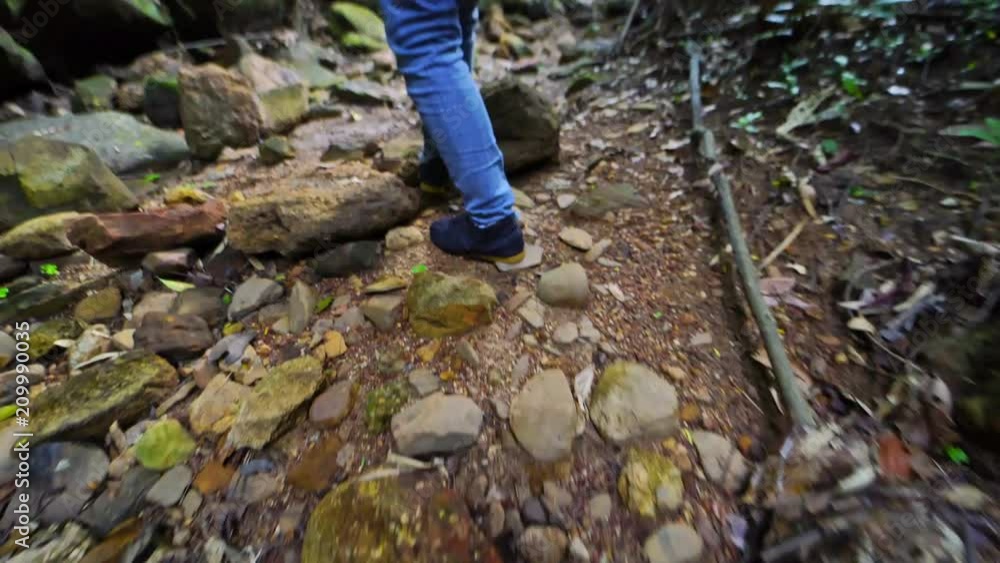 close up hiker walking in in the forest,stabilizer shot close up hiker walking in in the forest,stabilizer shot