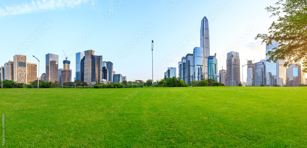 Green grass and modern city skyline scenery in Shenzhen