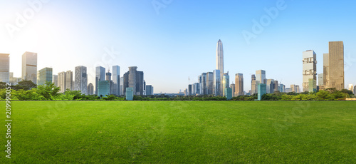 Green grass and modern city skyline scenery in Shenzhen