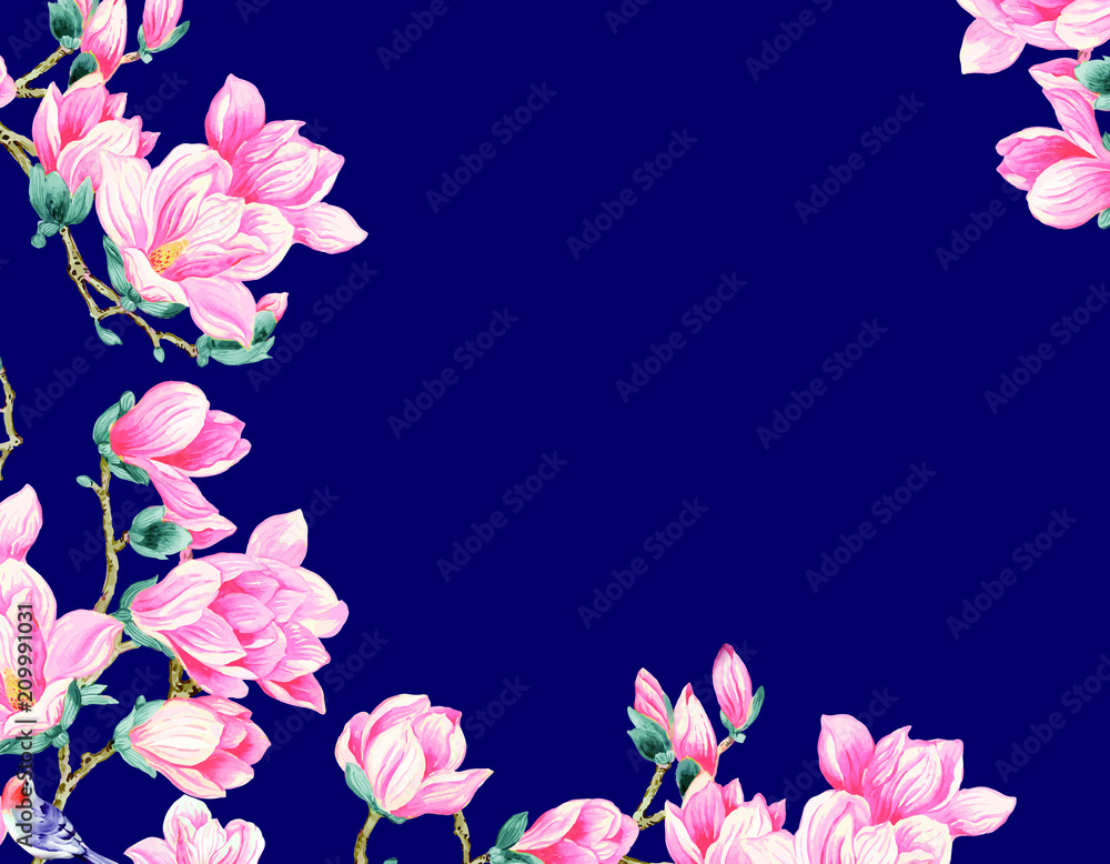 Magnolia flower illustration Magnolia flower illustration