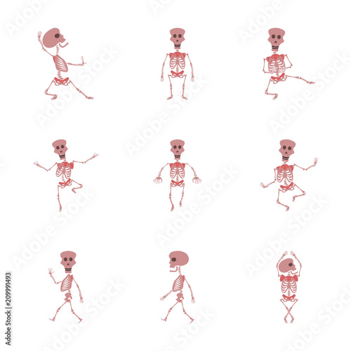 assembly flat illustration skeleton Halloween monster