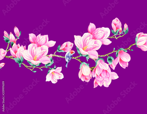Magnolia flower illustration © yang