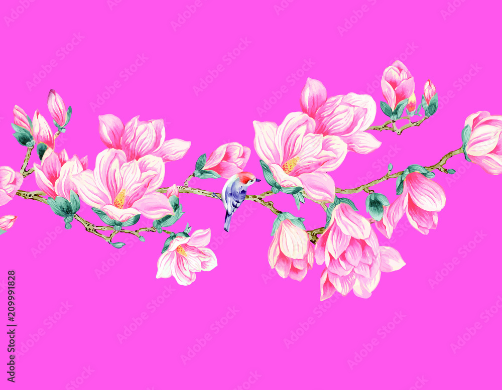 Magnolia flower illustration