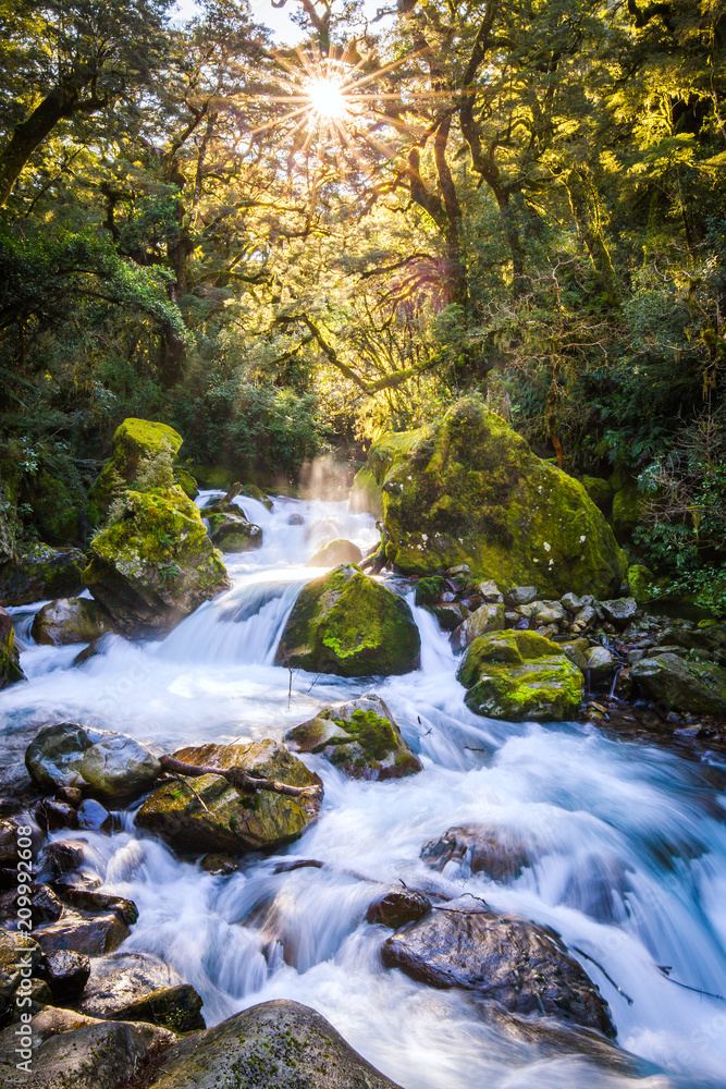 Marian Creek, Fiordland - Südinsel von Neuseeland