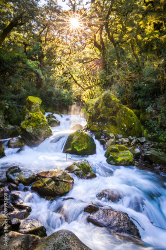 Marian Creek, Fiordland - Südinsel von Neuseeland