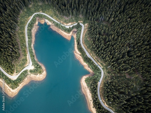 Evergreen trees,mountains r...