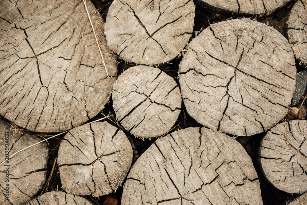 Stump wooden texture and background. Stump wooden texture and background.