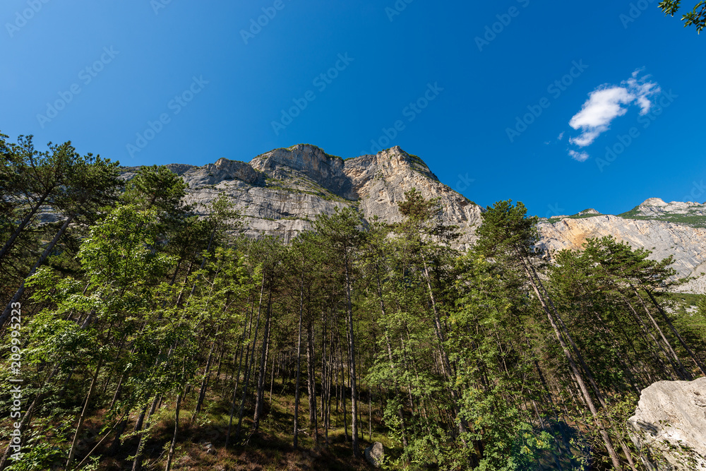 Forest and Mountains in Sarca Valley (Valle del Sarca) - Trentino Italy
