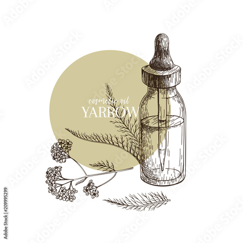 Hand drawn set of essential oils. Vector yarrow milfoil flower. Medicinal herb with glass dropper bottle. Engraved art. Good for cosmetics, medicine, treating, aromatherapy, package design healthcare