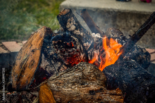 Burning log