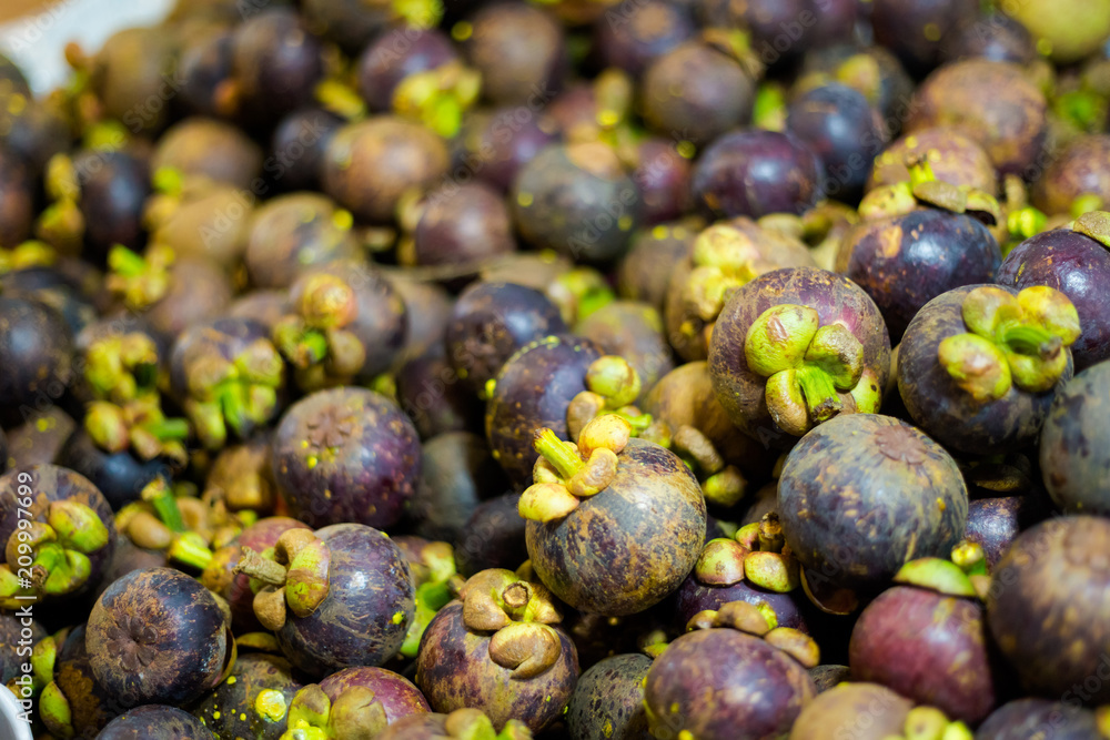 Fototapeta premium Thai fresh mangosteen fruits