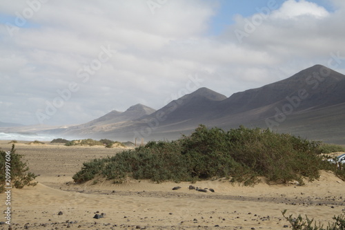 Fuerteventura