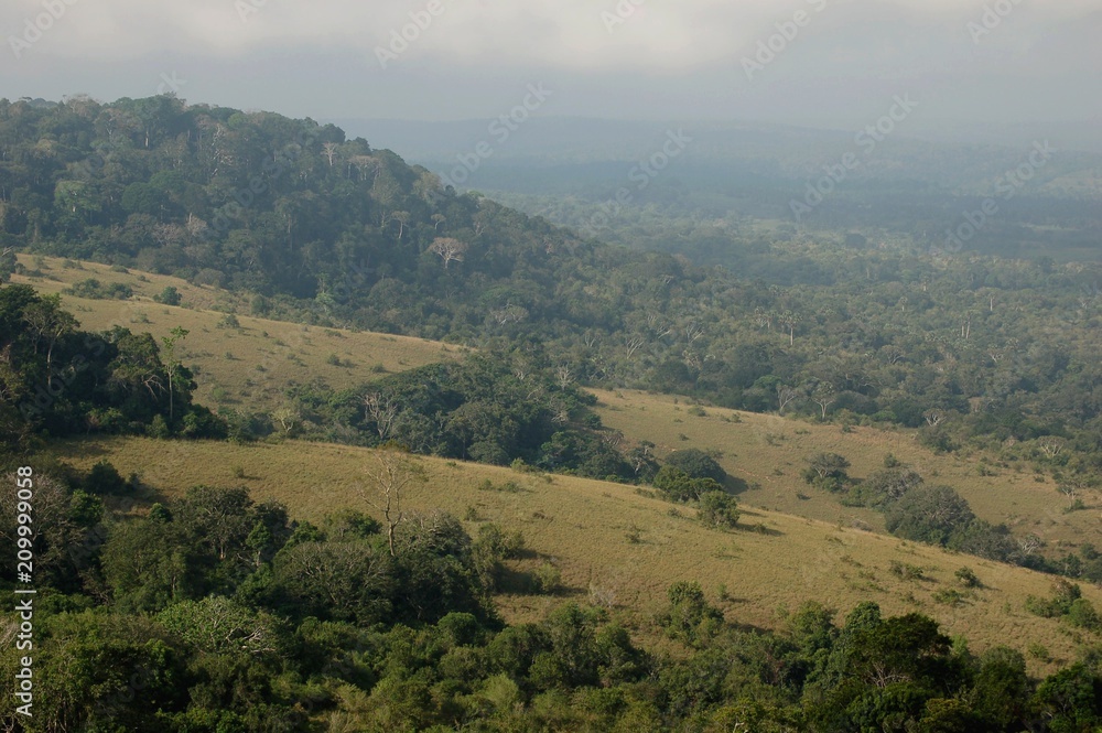 Kenya Kenya